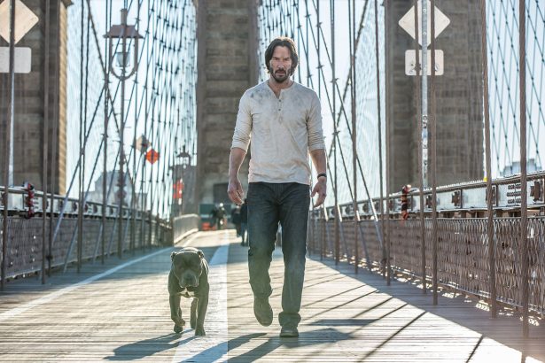 John Wick 2 előzetes már magyarul is 26 John Wick 2 előzetes már magyarul is