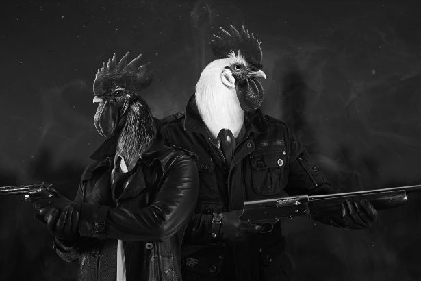TESZT: Chicken Police 12 TESZT: Chicken Police