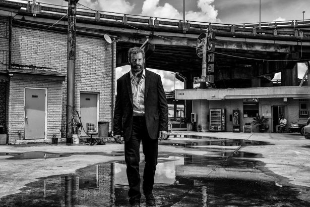 Fényképek a magányosan sétáló Logan-ről 26 Fényképek a magányosan sétáló Logan-ről