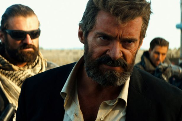 Logan - Farkas