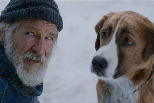 Box Office-figyelő: 2020/8. hét: Harrison Ford majdnem, de aztán mégsem 14 A vadon hívó szava