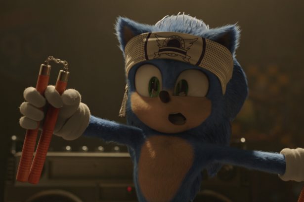 Várhatóan hamarosan bejelentik a Sonic, a sündisznó második részét 28 Sonic, a sündisznó