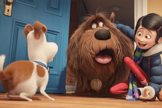 Máris jön a folytatás A kis kedvencek titkos élete című filmhez