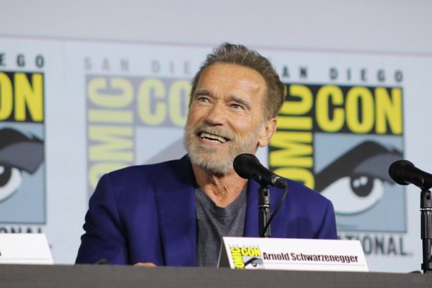 Arnold Schwarzenegger kémsorozatban lesz látható a Netflixen 16 Arnold Schwarzenegger