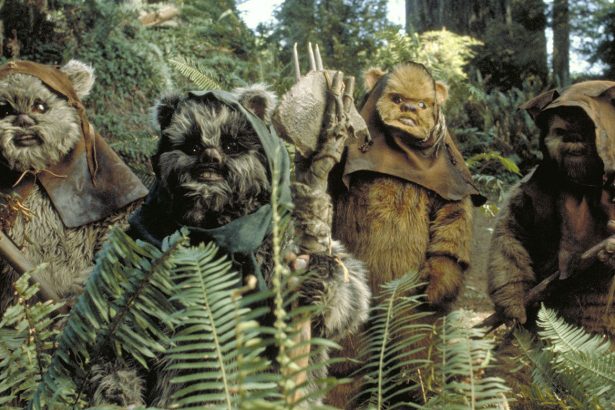 Egy Star Wars novella ad választ, hogy mi történt az Ewokokkal