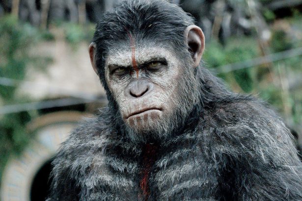 Megérkezett a War for the Planet of the Apes film szinopszisa 20 Megérkezett a War for the Planet of the Apes film szinopszisa
