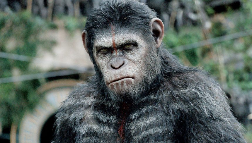 Megérkezett a War for the Planet of the Apes film szinopszisa 11 Megérkezett a War for the Planet of the Apes film szinopszisa