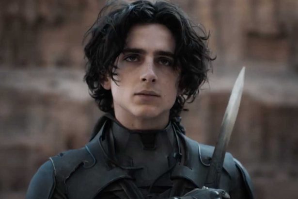 Timothée Chalamet elárulta, milyen tanácsokat kapott Leonardo DiCapriótól: "semmi kemény drog, semmi szuperhősfilm"
