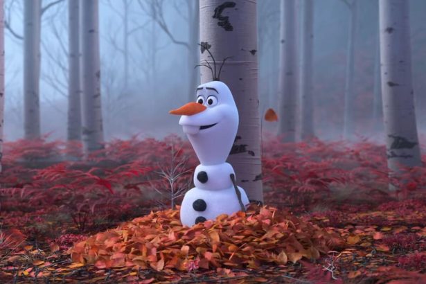 Sokak meglepetésére a Disney bemutatott egy Jégvarázs-minisorozatot, a főszerepben Olaf 14 Jégvarázs 2.