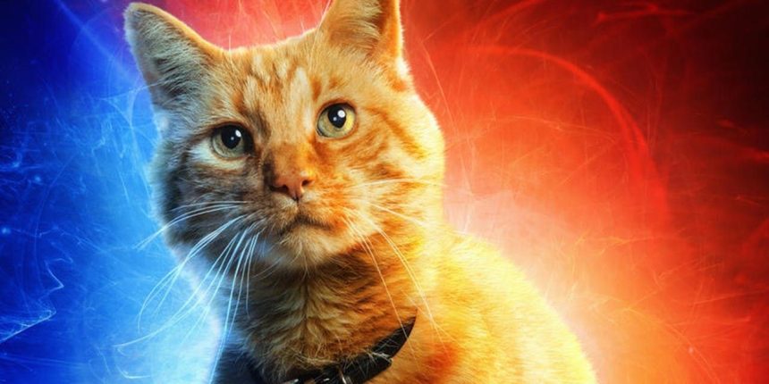 Az első reakciók szerint Goose ellopta a showt a Marvel Kapitányban 11 Marvel Kapitány Goose