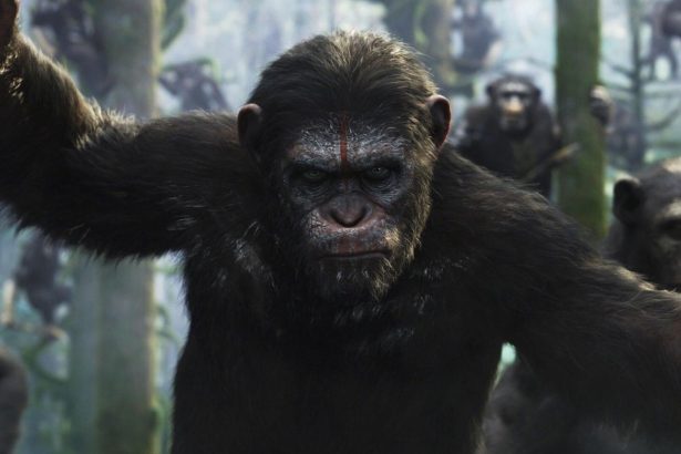 Nem Andy Serkis lesz a vezérmajom A majmok bolygója új filmjében 16 A majmok bolygója