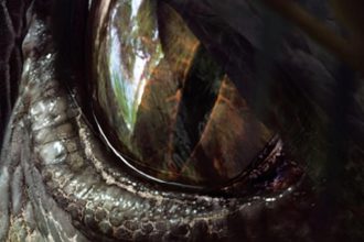 A Fear the Walking Dead sztárja játszhatja a Jurassic City főgonoszát 23 Jurassic World