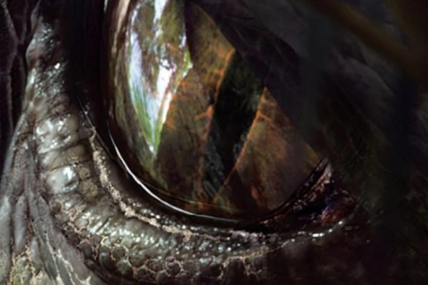 A héten befejezik a Jurassic World: Bukott birodalom forgatását 22 Jurassic World
