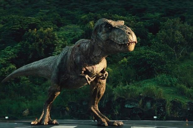 Colin Trevorrow megerősítette, hogy a T-Rex visszatér a Jurassic World 2-ben 18 Jurassic World