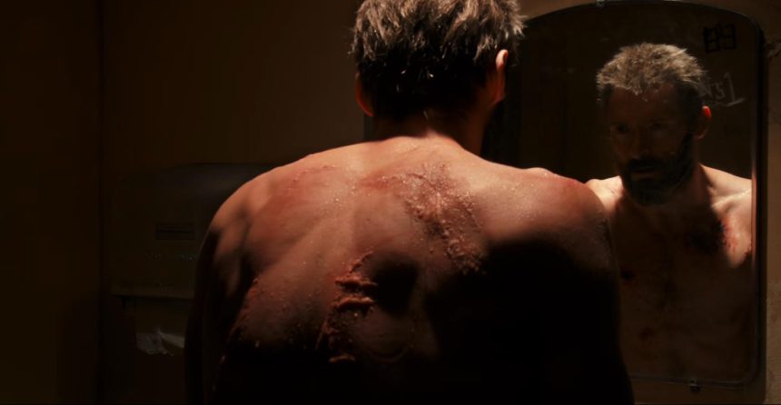 Logan - Farkas