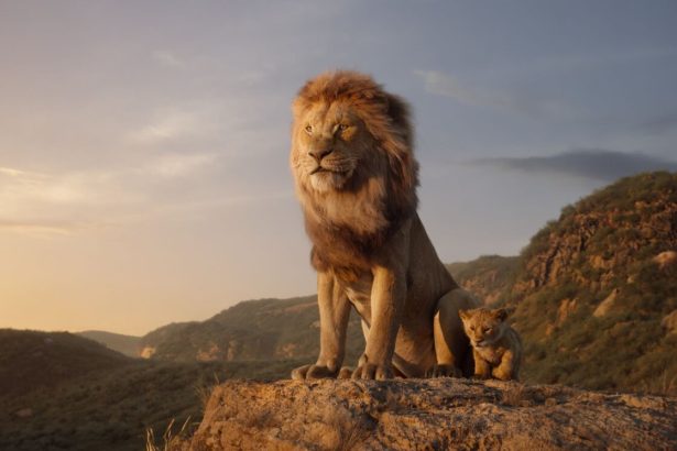 Jon Favreau rendező szerint Az oroszlánkirály nem nevezhető animációs filmnek 20 Az oroszlánkirály