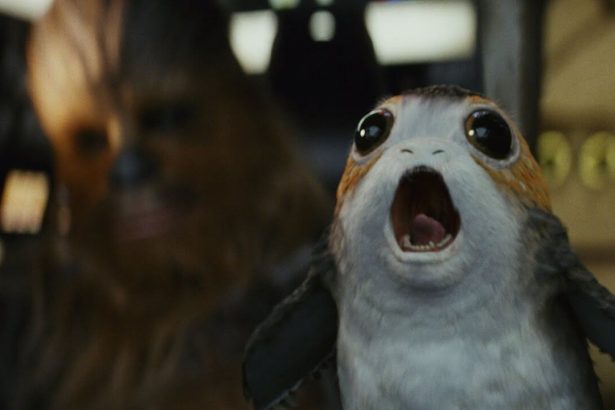 Már neve is van annak a porgnak, ami a Millennium Falcon pilótafülkéjében potyázott 14 Porg