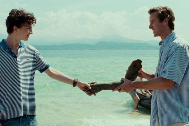Timothée Chalamet és Armie Hammer is visszatér a Szólíts a neveden folytatásában 14 Timothée Chalamet és Armie Hammer is visszatér a Szólíts a neveden folytatásában