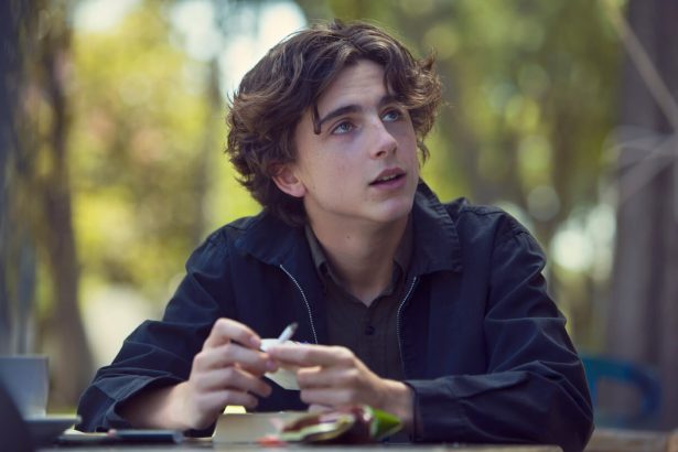 Timothée Chalamet játszhatja Bob Dylant James Mangold közelgő filmjében 14 Timothée Chalamet játszhatja Bob Dylant James Mangold közelgő filmjében