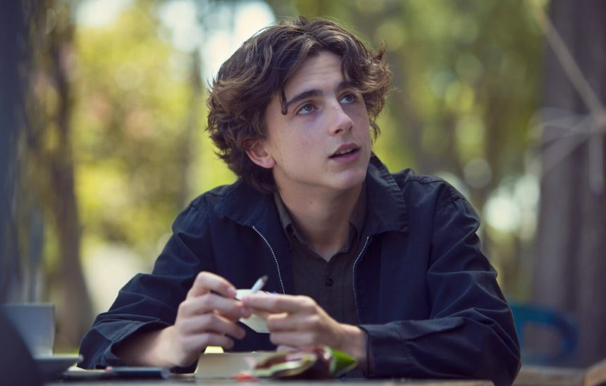 Timothée Chalamet játszhatja Bob Dylant James Mangold közelgő filmjében 11 Timothée Chalamet játszhatja Bob Dylant James Mangold közelgő filmjében