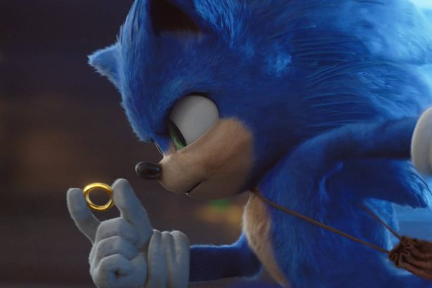Sonic, a sündisznó
