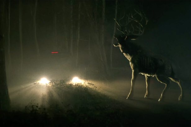 Bambi: The Reckoning