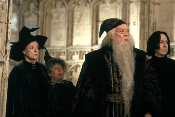 Dumbledore, McGalagony és Hagrid szerepét neves brit színészek játszhatják a Harry Potter-sorozatban 28 Harry Potter