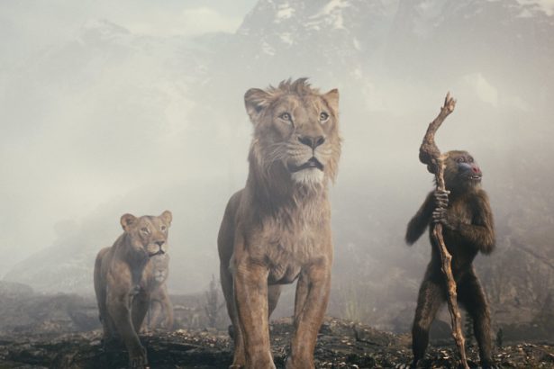 Ismerős dallamokkal csábít Afrikába a Mufasa: Az oroszlánkirály végső előzetese 26 Mufasa: Az oroszlánkirály