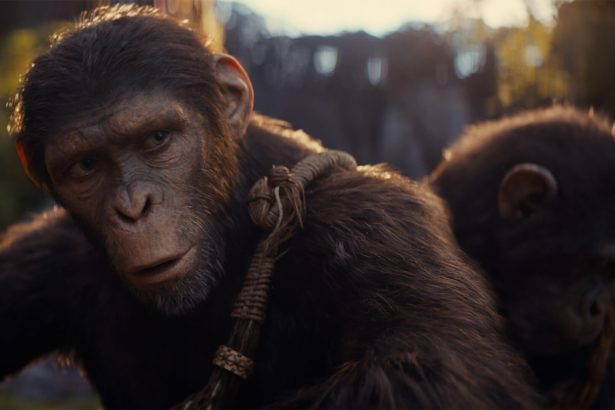 A rendező szerint nem Disney-ezték el, és A majmok bolygója: A birodalom könnyebb hangvétele ellenére sem lett gyerekes 22 A majmok bolygója: A birodalom