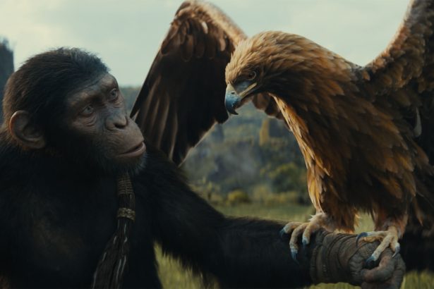 Jön A majmok bolygója új filmje, de senki sem tudja, hogy reboot-e vagy sem 12 A majmok bolygója: A birodalom
