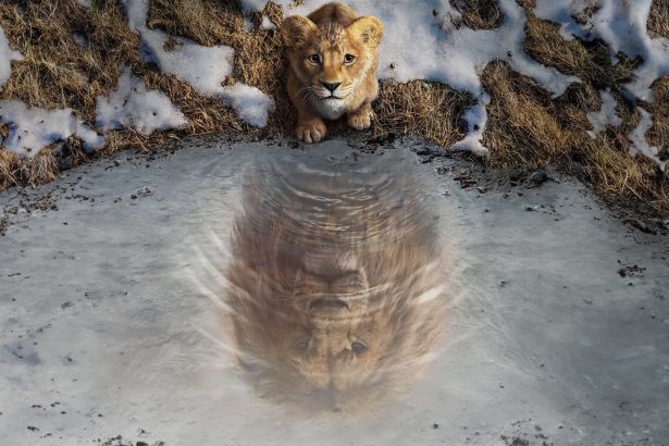 Mufasa: Az oroszlánkirály