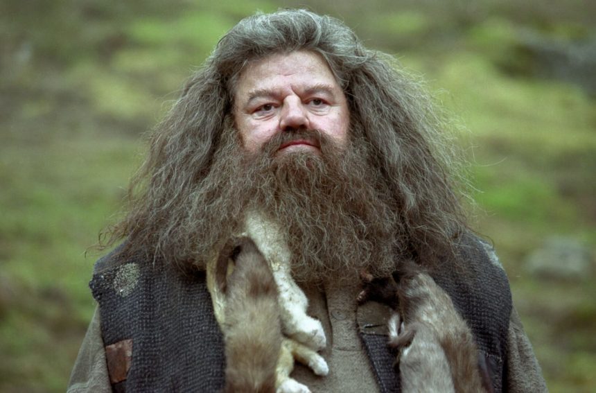 Egy népszerű színész veheti át Robbie Coltrane helyét Hagrid szerepében az HBO Harry Potter-sorozatában 11 Harry Potter