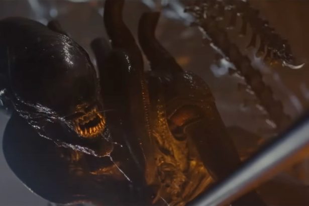 Fede Álvarez elhintette az ötletét egy új Alien vs. Predator crossovernek 20 Alien: Romulus