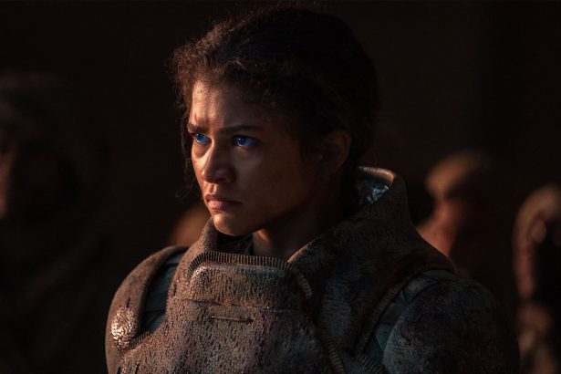 Zendaya hőgutát kapott a Dűne: Második rész forgatásán 14 Dűne: Második rész