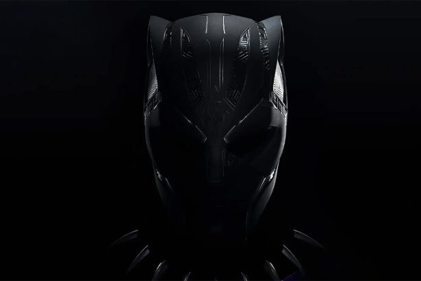 Lehet fehér Fekete Párduc? – A Marvel új hőse komoly vitákat robbantott ki 28 Fekete Párduc: Vakanda, légy áldott!