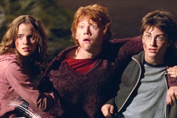 Ő lesz az új Lucius Malfoy: újabb 9 szereplőt jelentettek be az HBO Harry Potter-sorozatához 18 Harry Potter