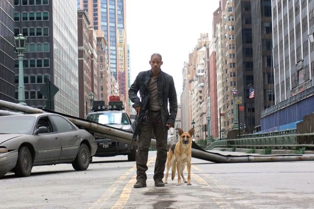 Will Smith elárulta, hogyan lehetséges a Legenda vagyok 2. folytatása – és ki lesz Michael B. Jordan karaktere 16 I Am Legend
