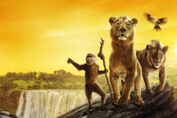 Mufasa: Az oroszlánkirály kritika 12 Mufasa: Az oroszlánkirály