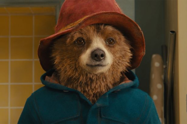 Paddington in Peru