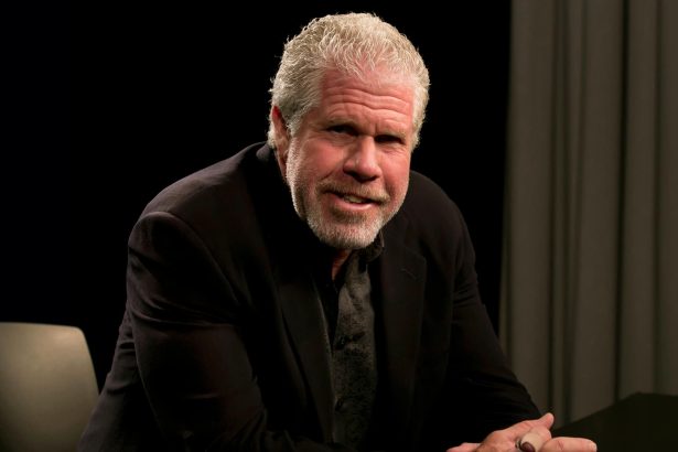 Ron Perlman káromkodva kiosztotta a Disney elnökét, aki élesen kritizálta a sztrájkot 30 Ron Perlman