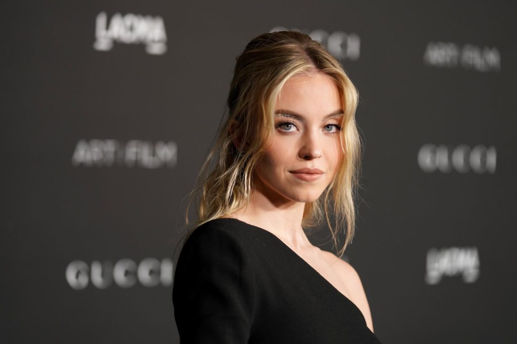 Sydney Sweeney melltartókkal díszítette fel a Hollywood feliratot 14 Sydney Sweeney