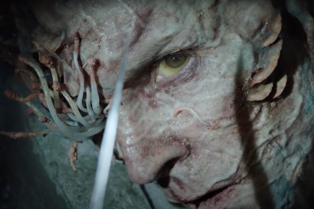 A The Last of Us után a tudósokat is foglalkoztatja a kérdés: a Cordyceps veszélyt jelent az emberiségre? 12 The Last of Us