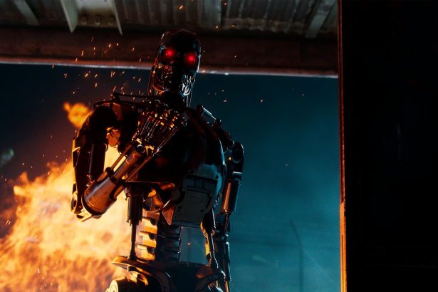 Terminator: Survivors