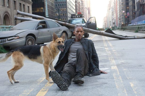 Megvan a Legenda vagyok 2. rendezője 14 I Am Legend